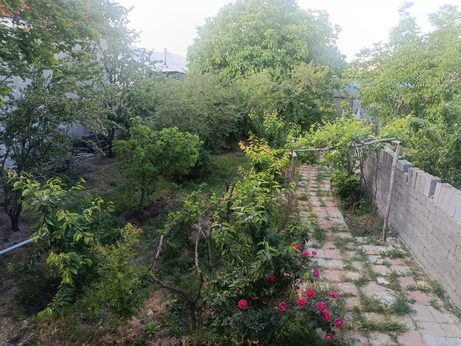 خانه ویلایی شکرناب پایین طالقان ابیک