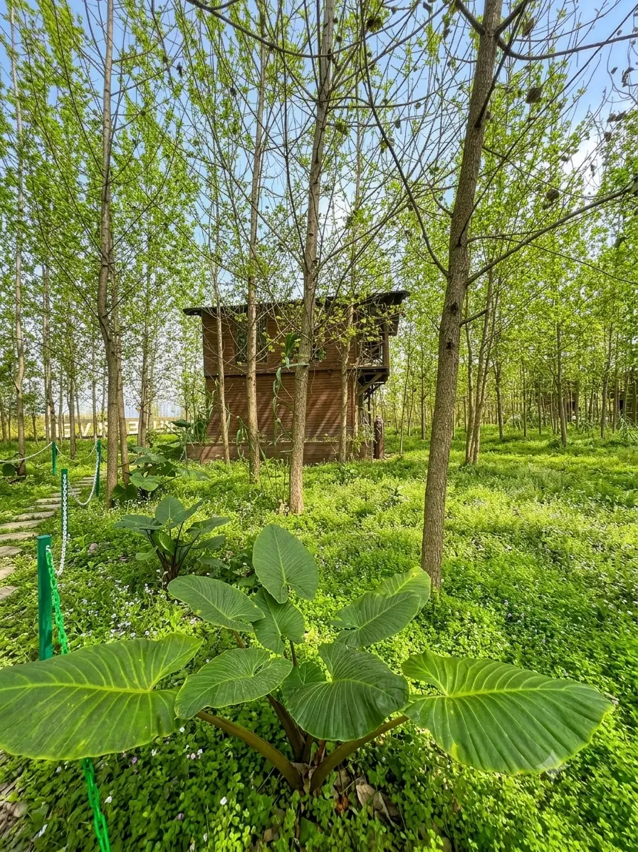 تجربه زندگی لوکس در آغوش طبیعت