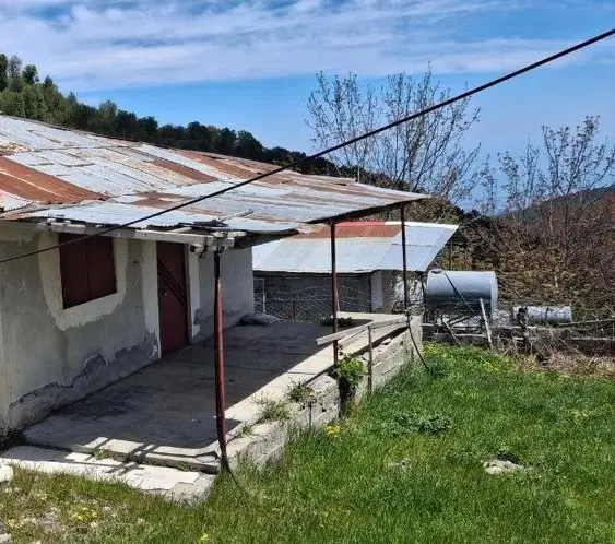 خانه ویلایی ییلاقی اسب ونی