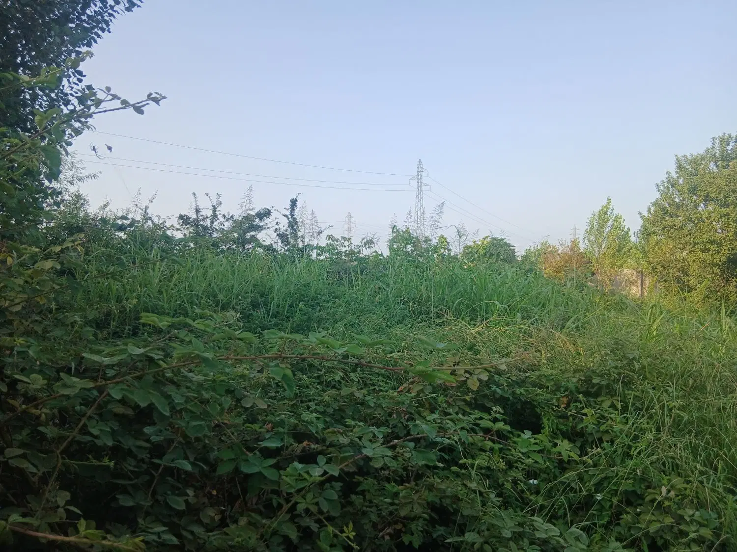 زمین اطراف رشت