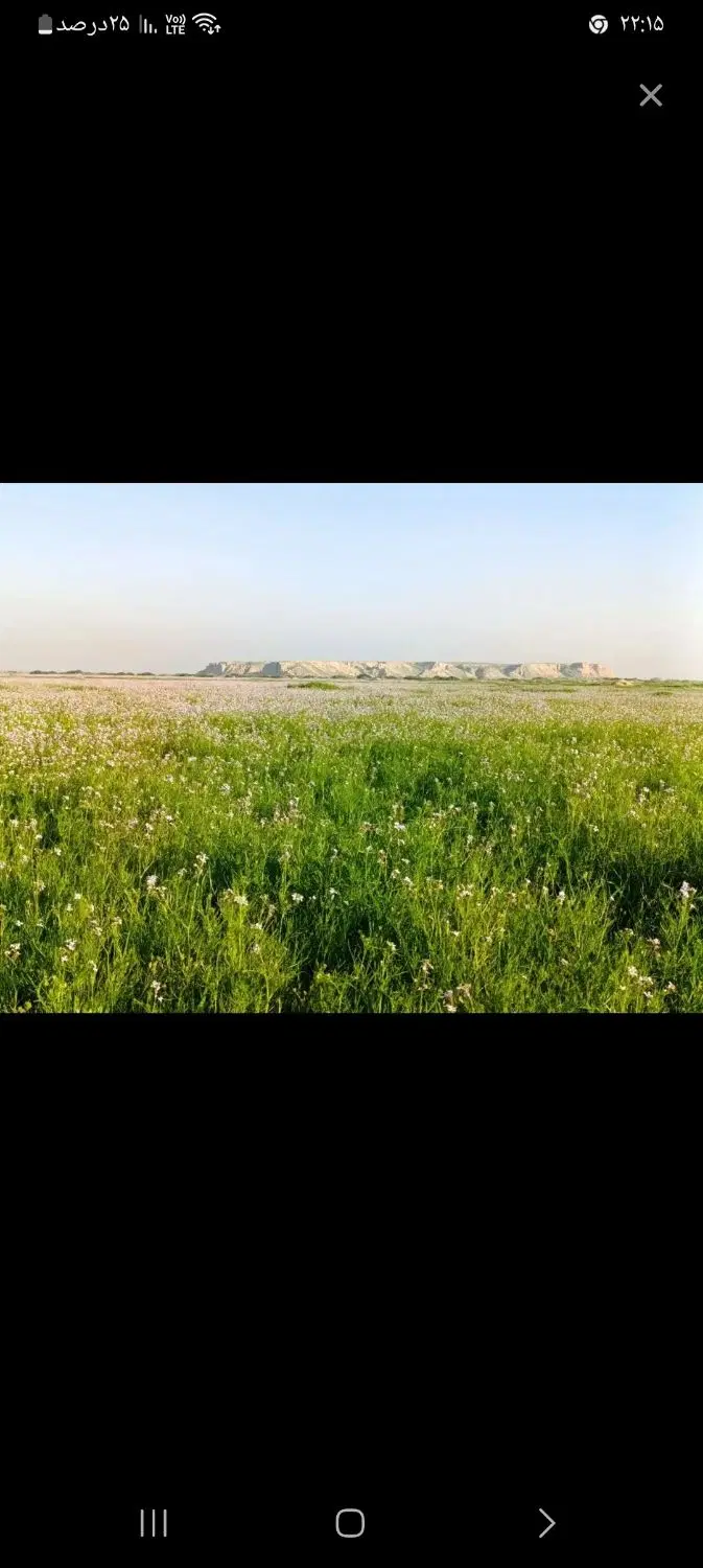 زمین کشاورزی