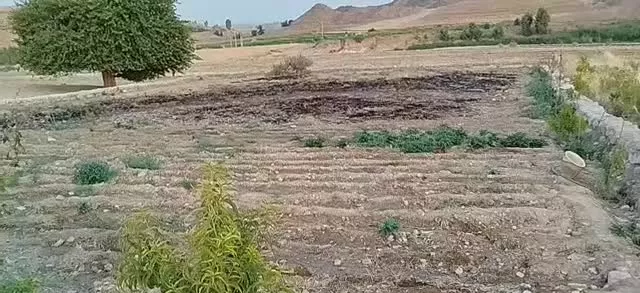 زمین خانه باغ