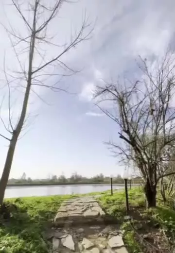 کلبه سوئیسی  نوساز رو به برکه