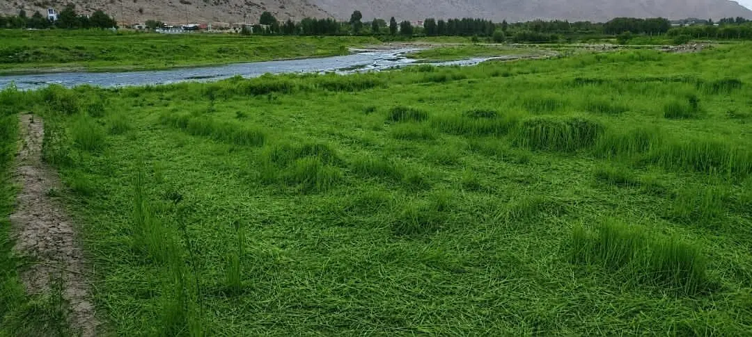 زمین