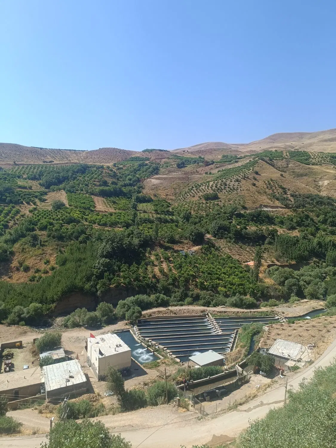 باغچه 600 متری مرتب