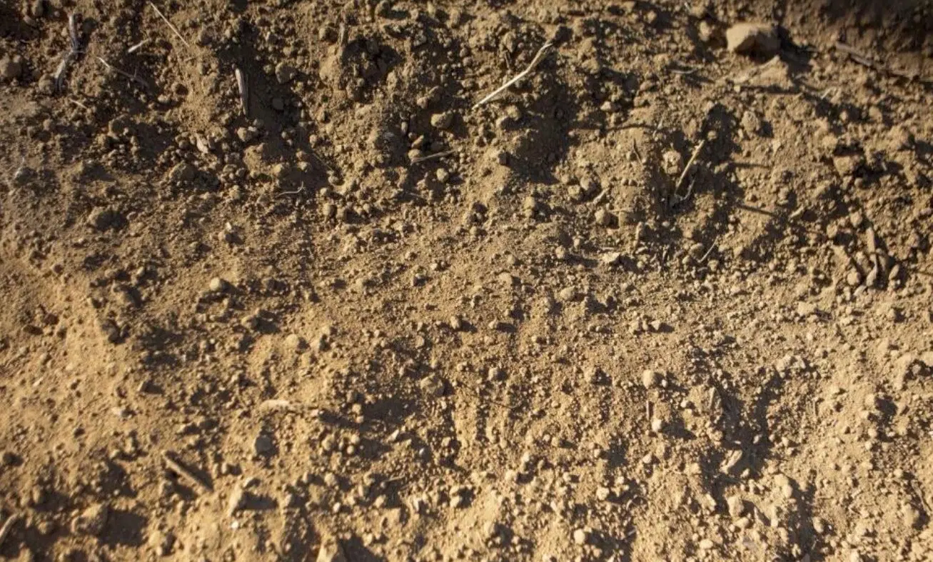 زمین فروشی دو بر