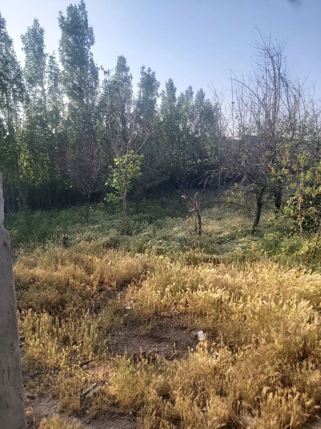 جهت اجاره
