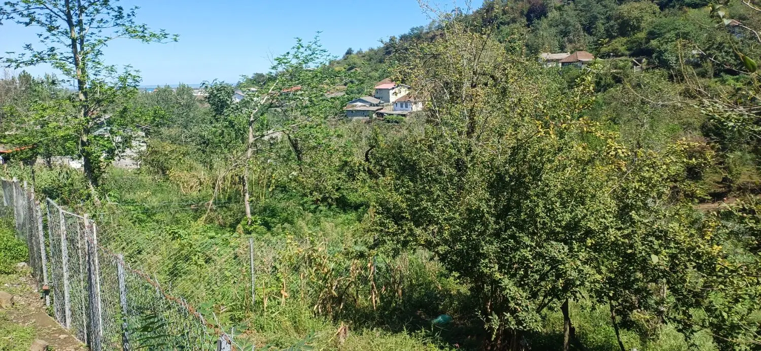 زمینی به مساحت ۱۱۰۰ متر با کاربری مسکونی