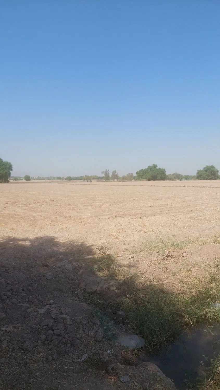 فروش زمین باغی ۱۰۰۰متری سند تک برگ