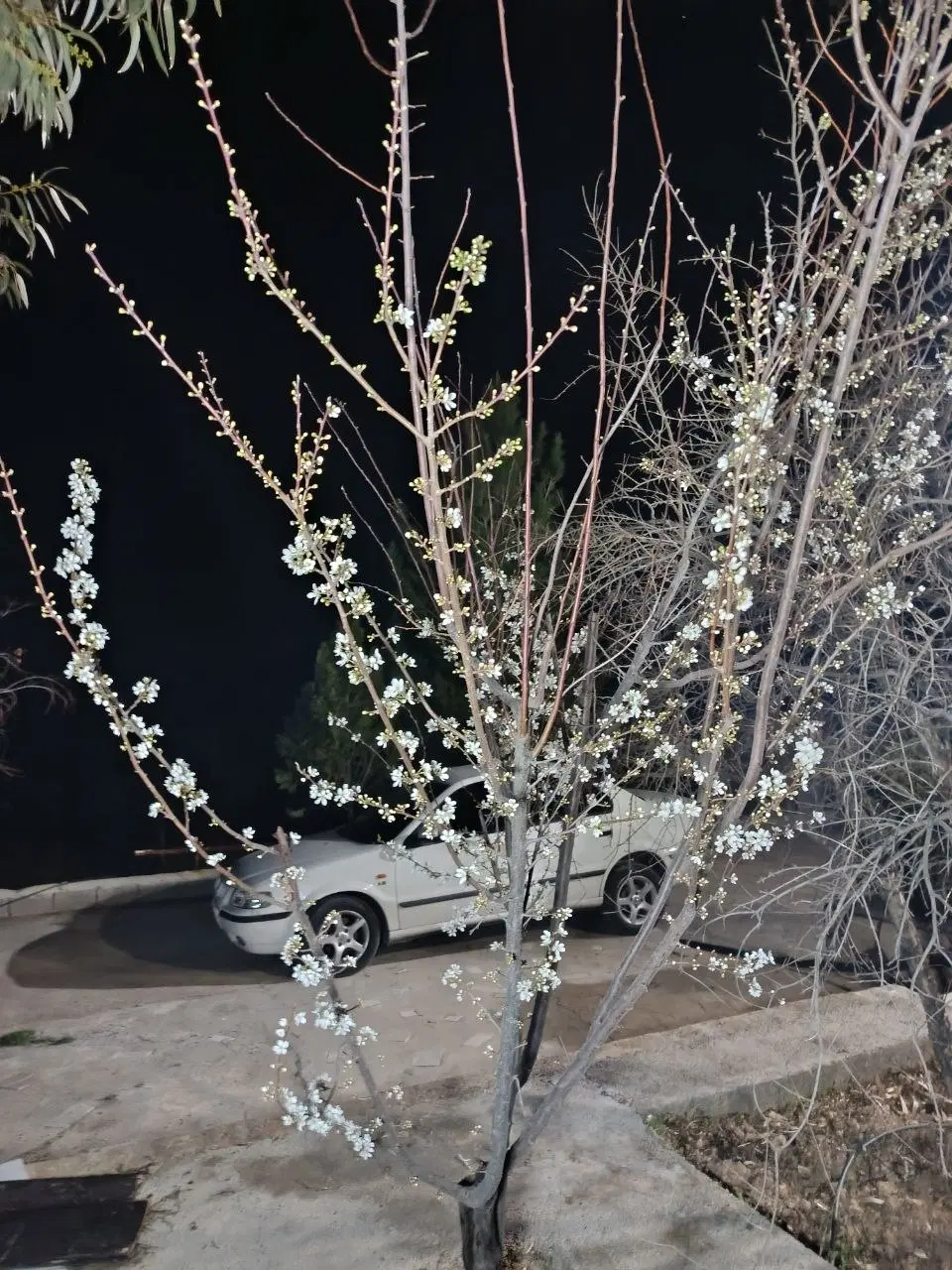 فروش باغ شهری