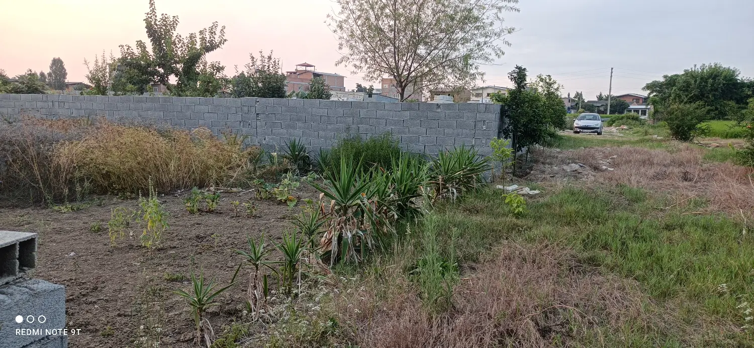 فروش زمین در چمازکتی
