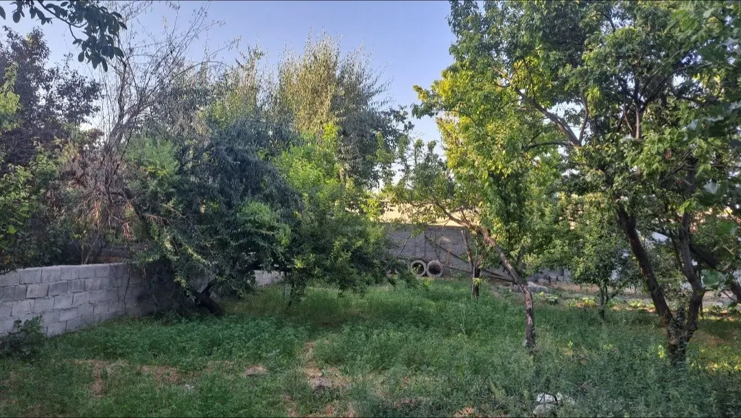 فروش باغ میوه