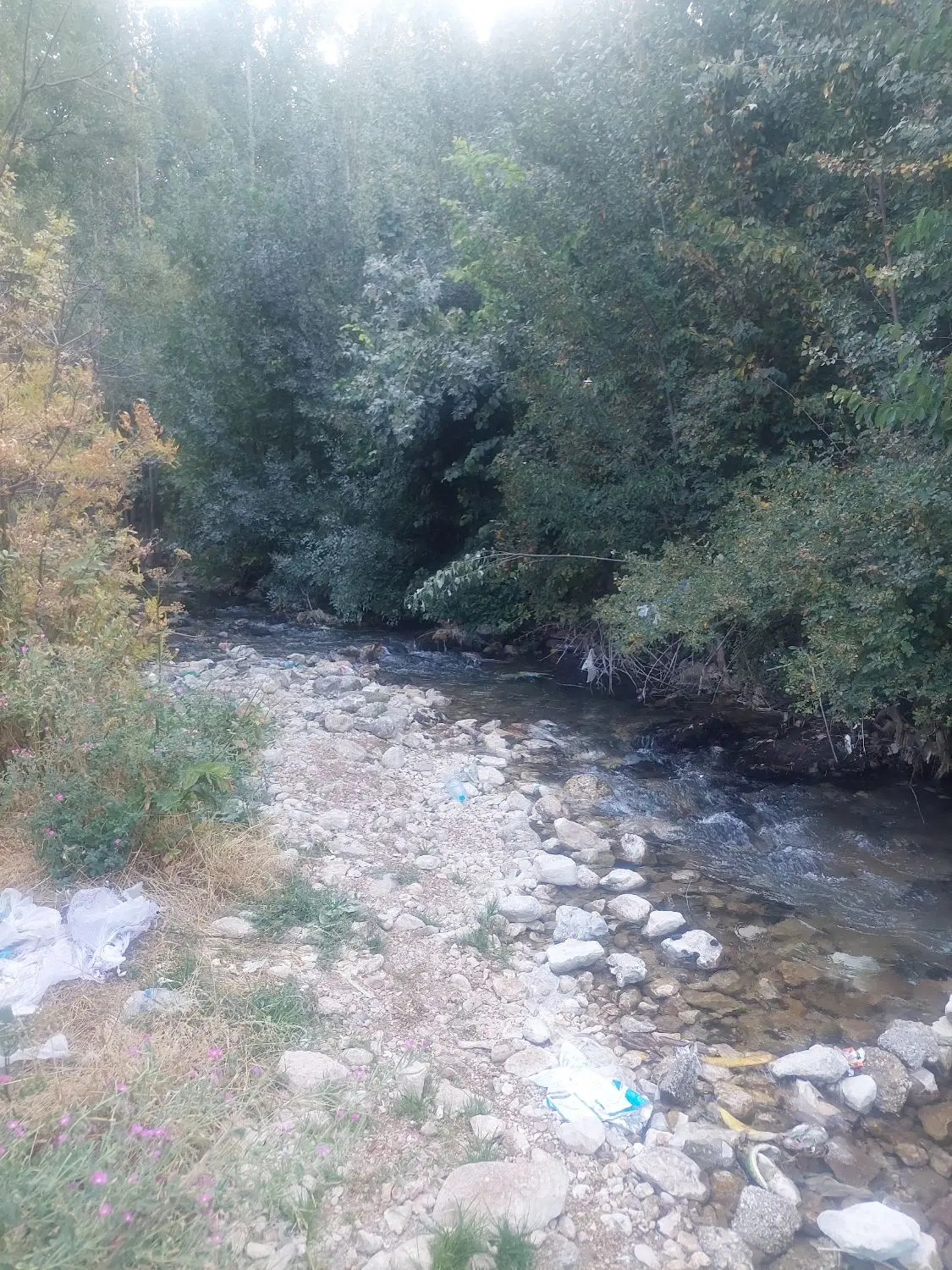زمین و ملک مسکونی در محدوده هلیله وبندرگاه