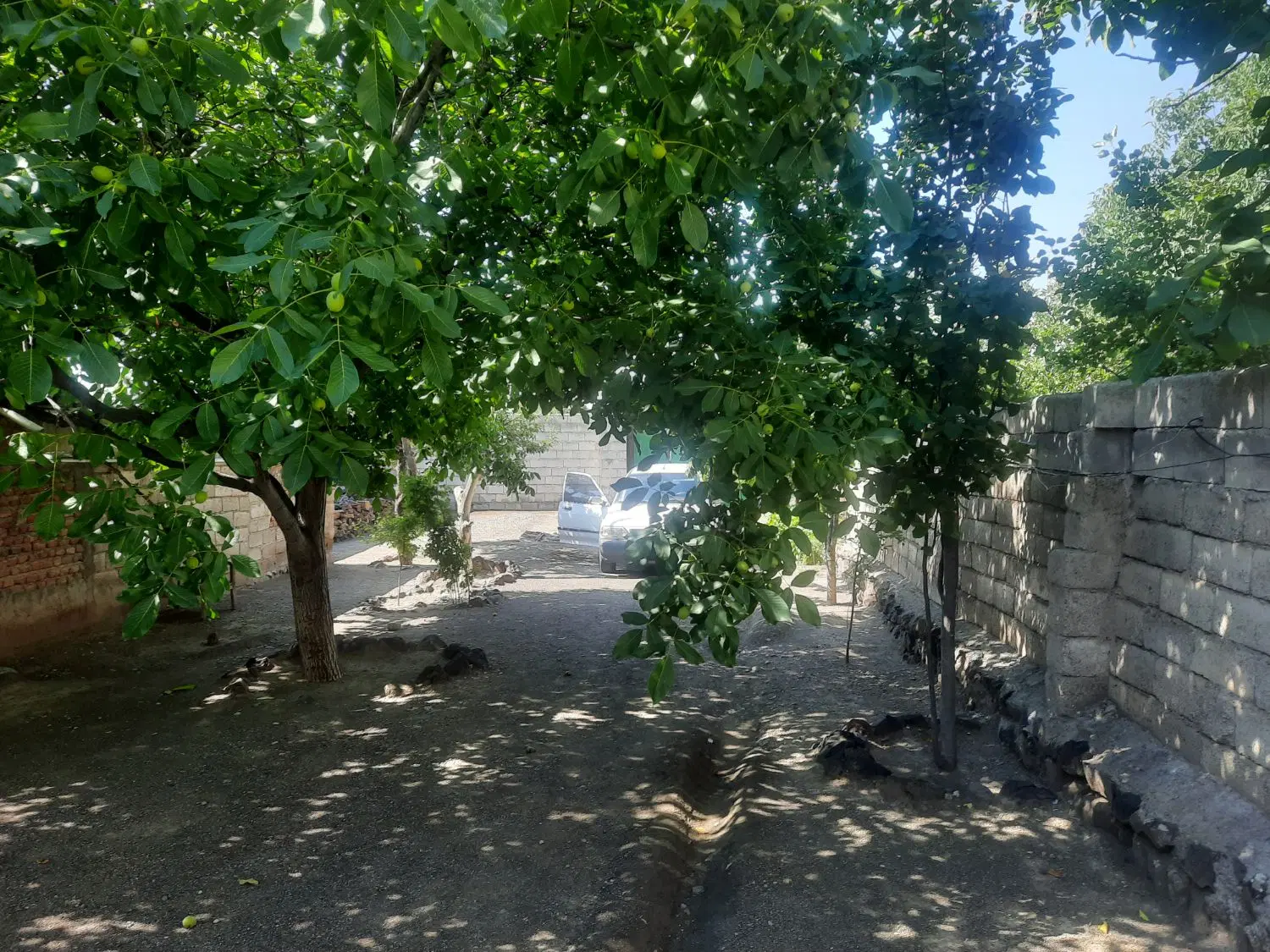 ملک  فروشی
