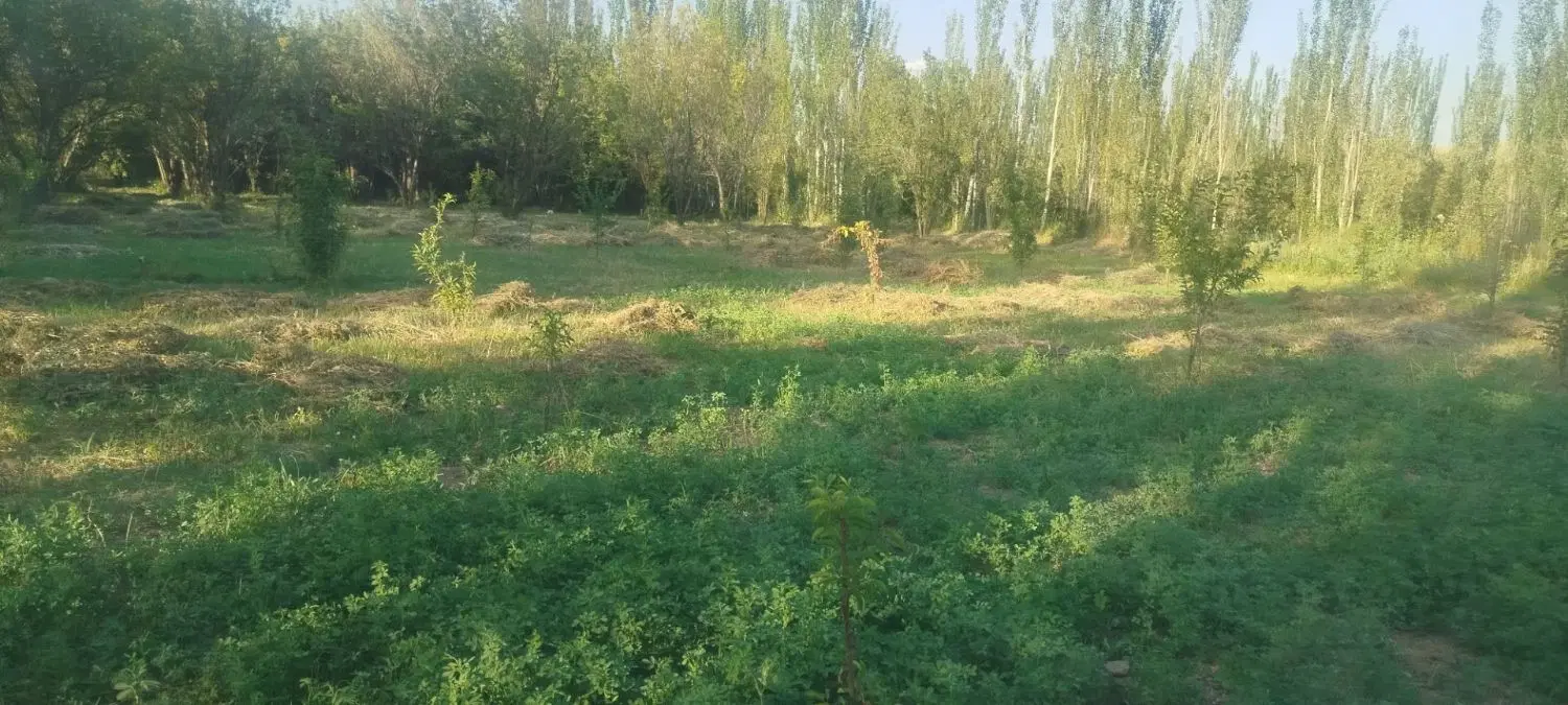 باغ