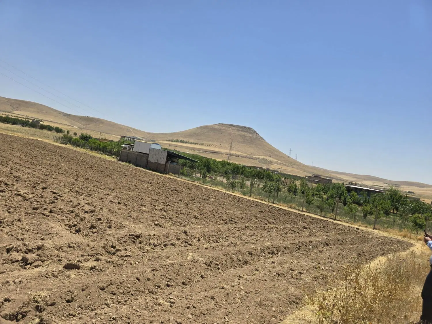 زمین خانه باغ
