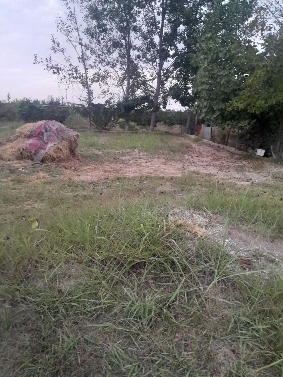 زمین باغی،قی مناسب