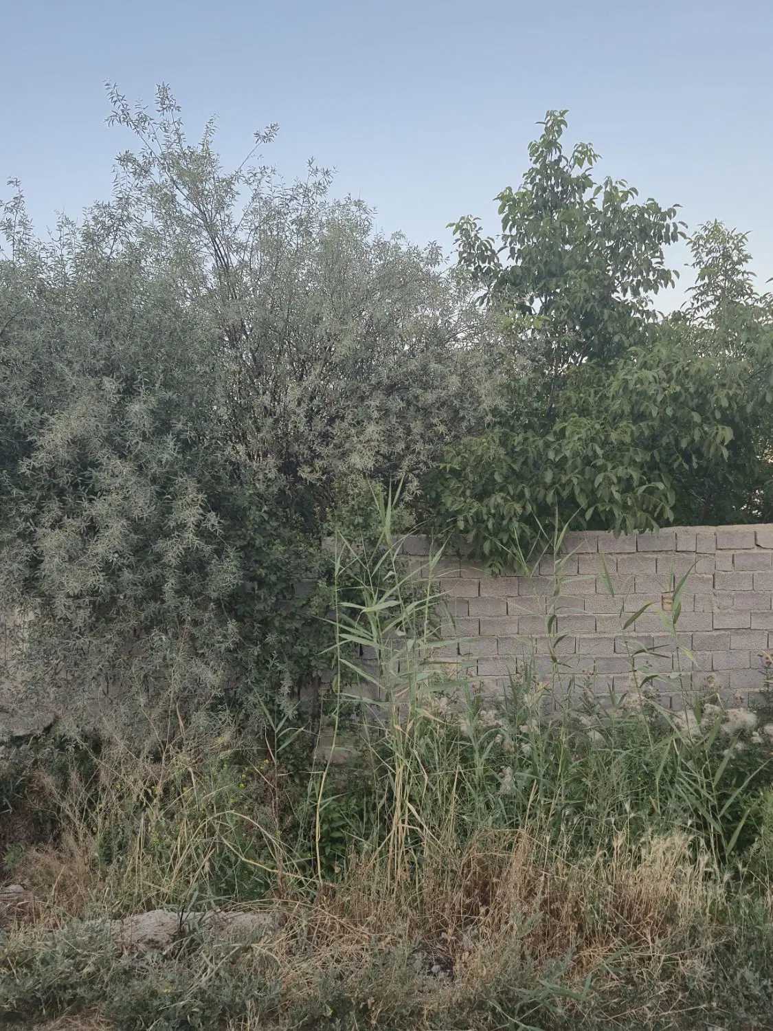 زمین خدماتی شهرک صنعتی ۸۰ متر