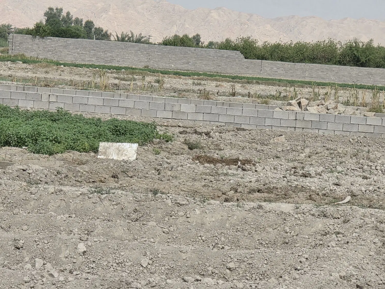 زمین باغی روستای ابوذر