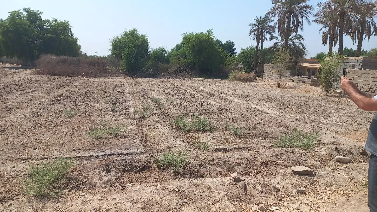 زمین باغ