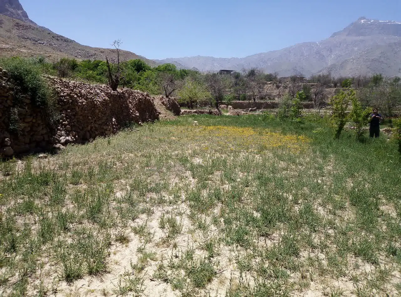 فروش زمین ییلاقی