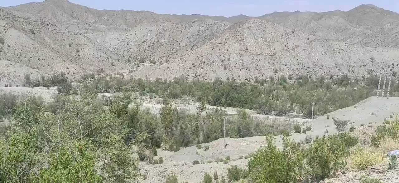 فروش یک قطعه رزمین سند تک برگ با هفده اصله نخل