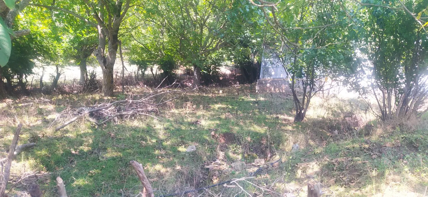 ۳۰۰متر زمین مسکونی در دل جنگل فاصله از مرکز شهر ۷ک