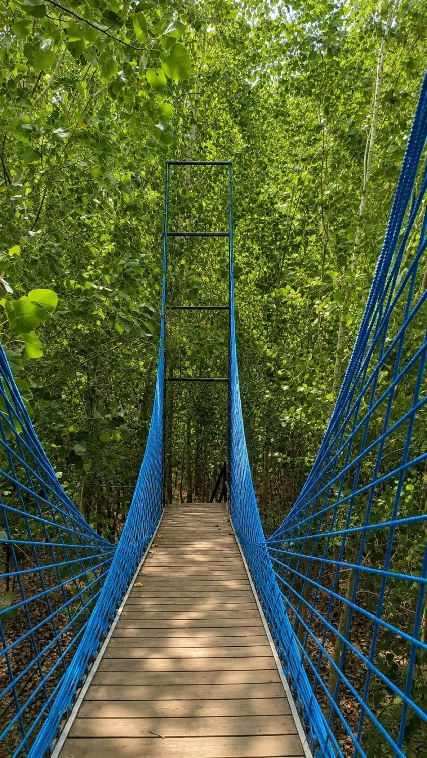 آشیانه سبز