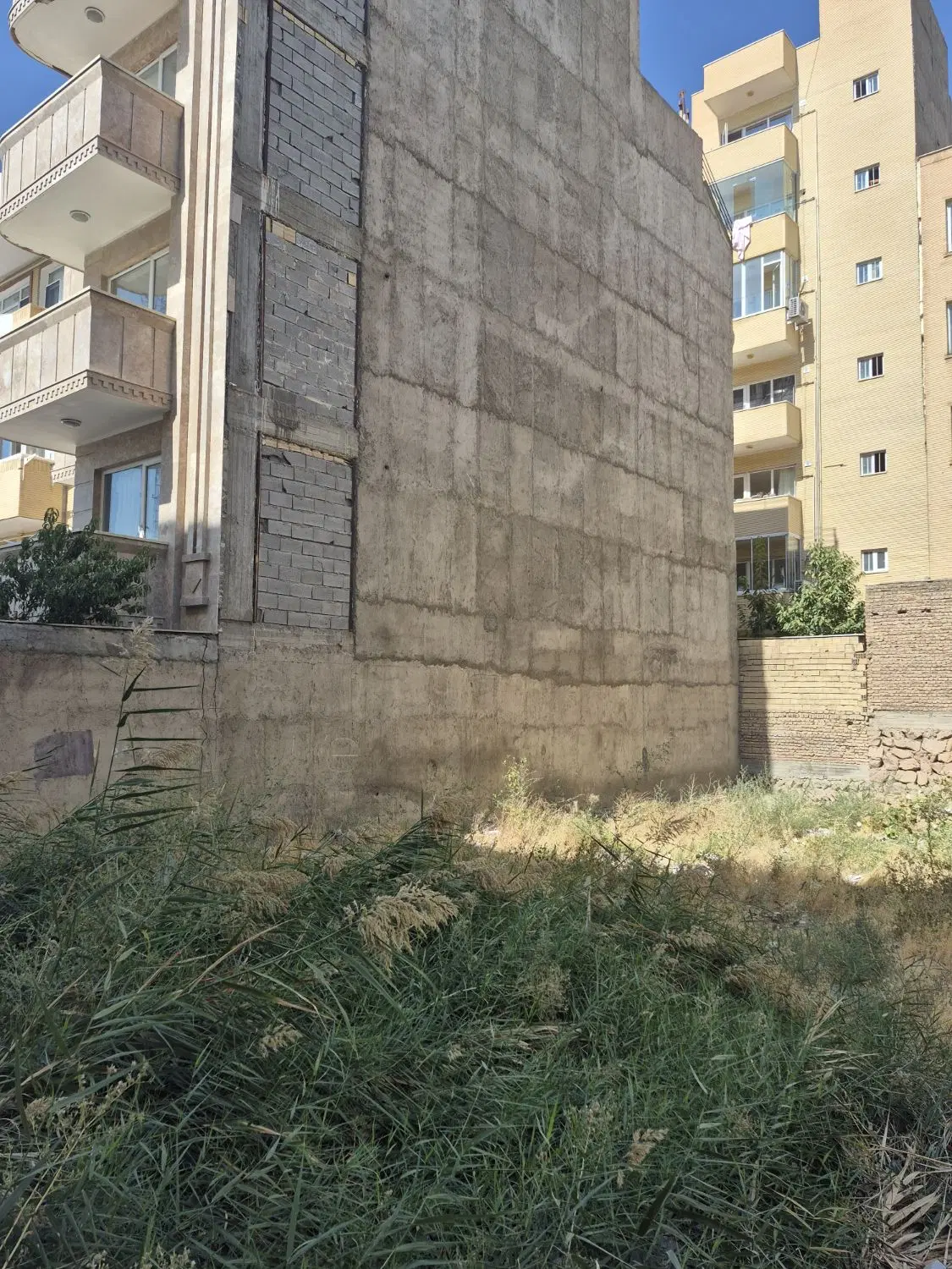زمین مسکونی شش دانگ شمالی