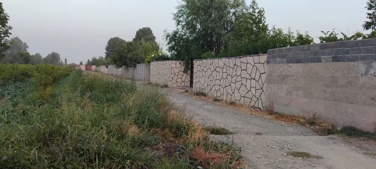 باغ و باغچه شهرکی قاسم آباد بزرگ ارکیده ۱۰
