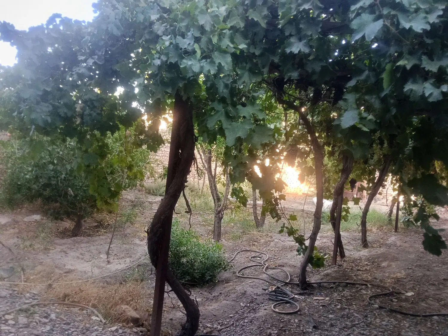 فروش خانه مسکونی