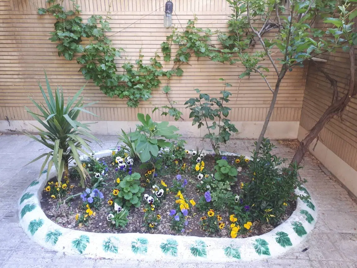 رهن کامل آپارتمان ۴۱ متری ۲۰ متری