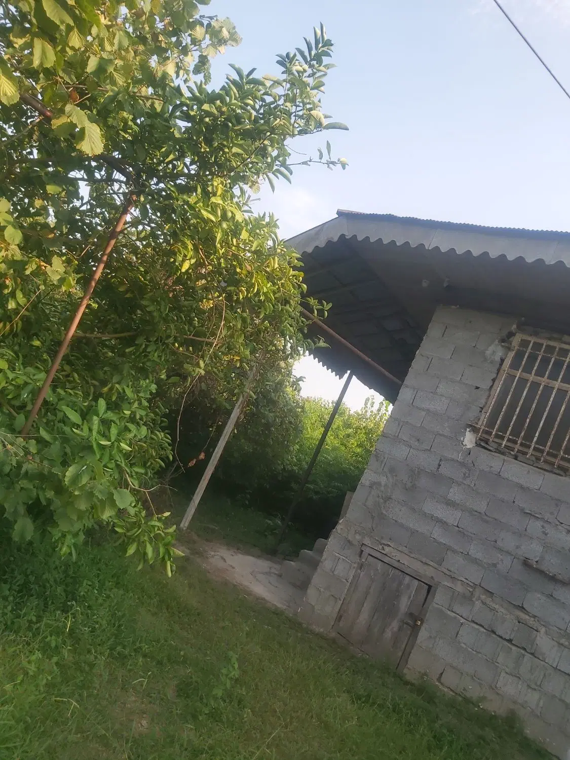 زمین مسکونی