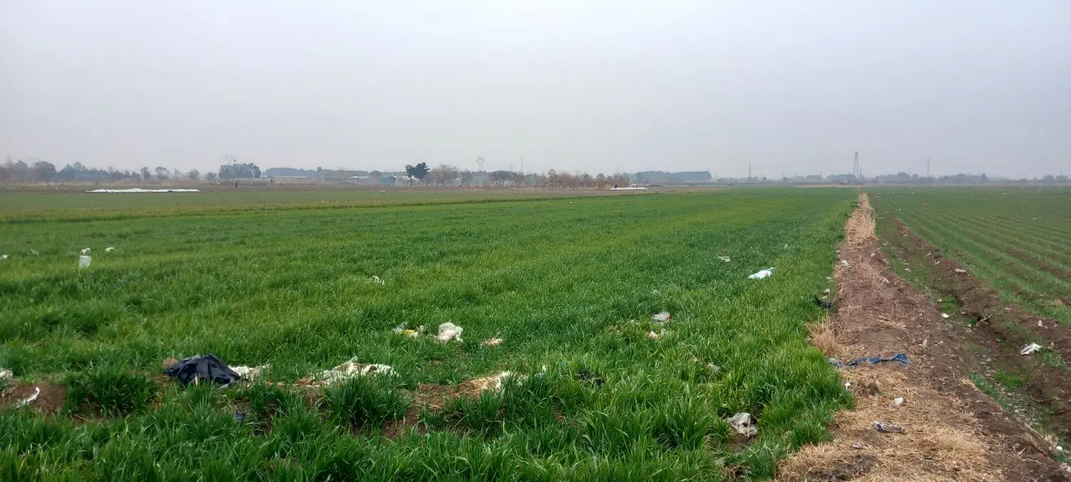 زمین ۲۷۰۰ متر باغی