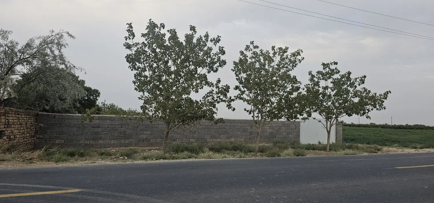 باغچه فروشی