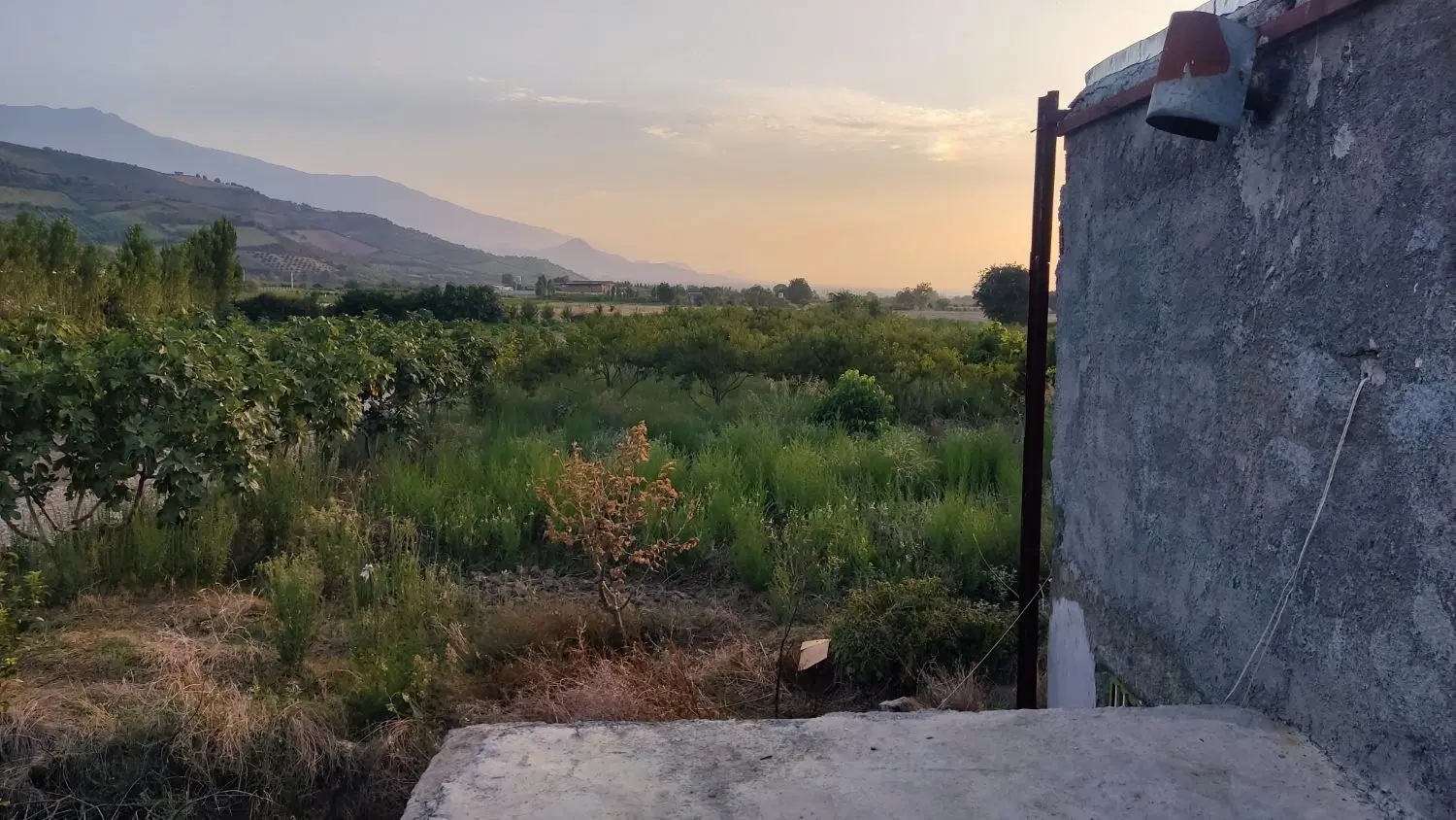 باغ روستای سدن
