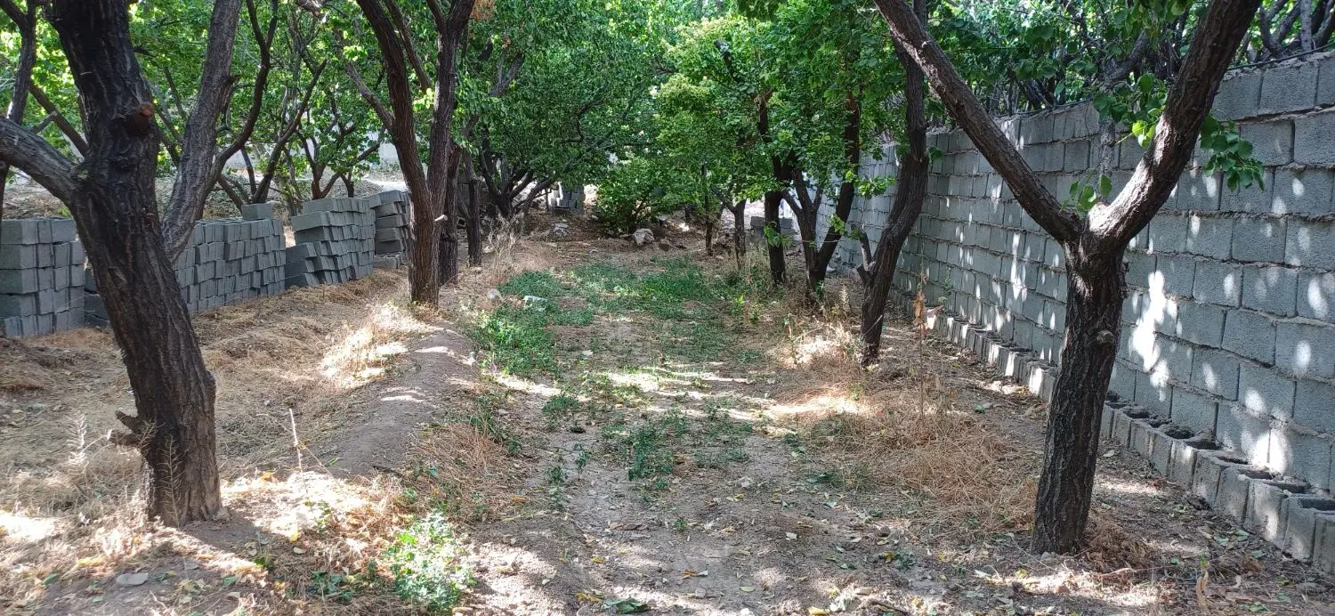زمین فروشی عرب آباد