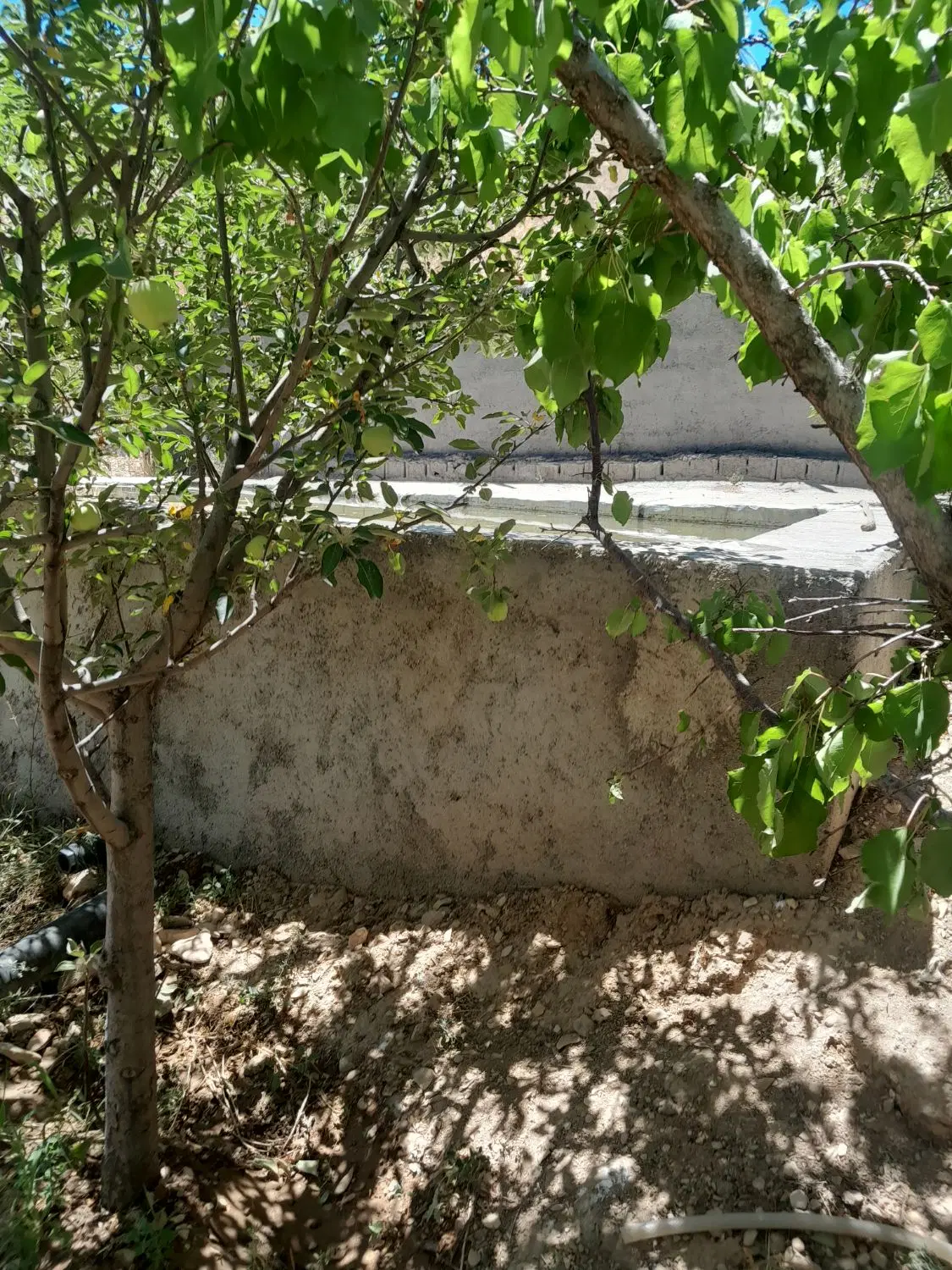 فیروزکوه باغ کلفور