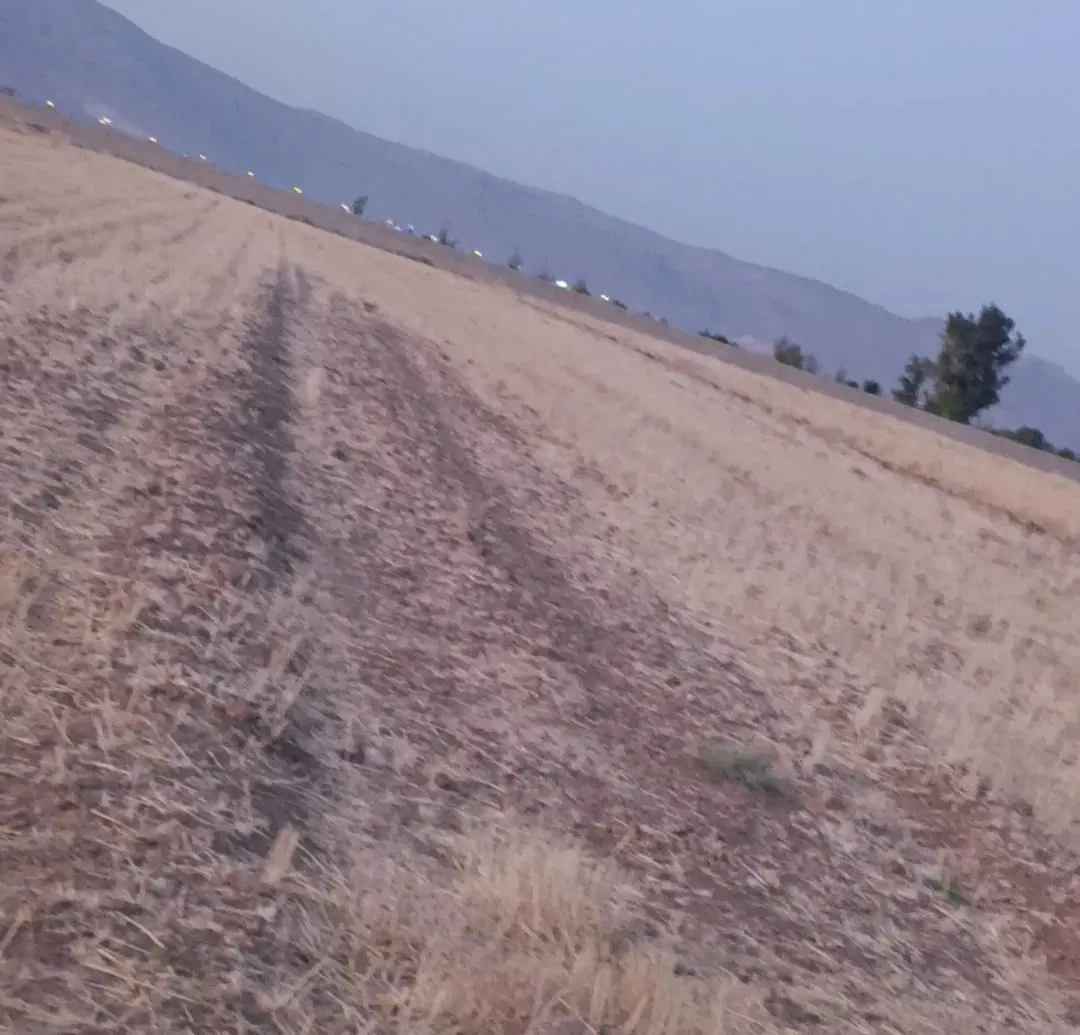 زمین شهرک دودمان