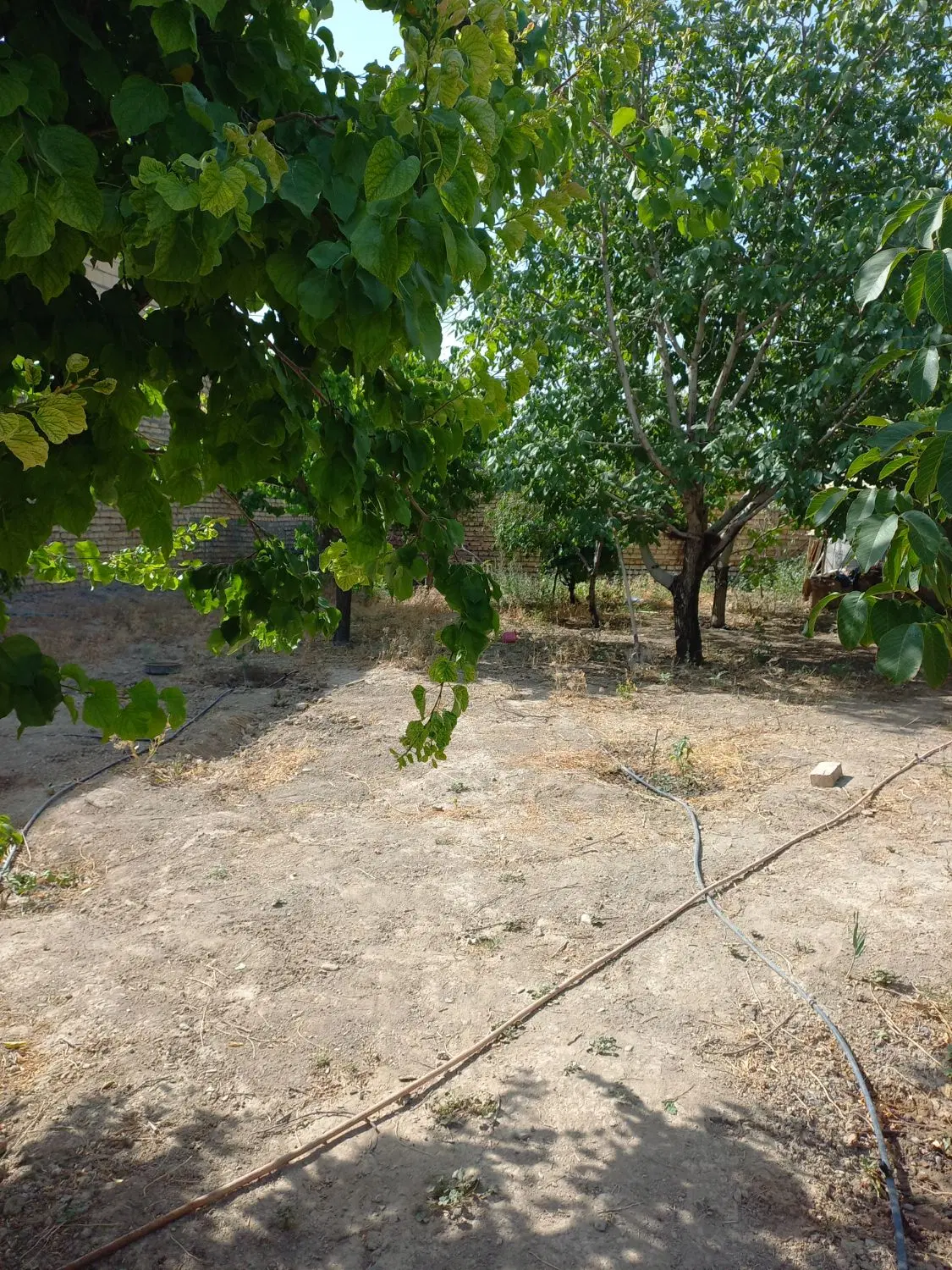 زمین قواره 300 متری