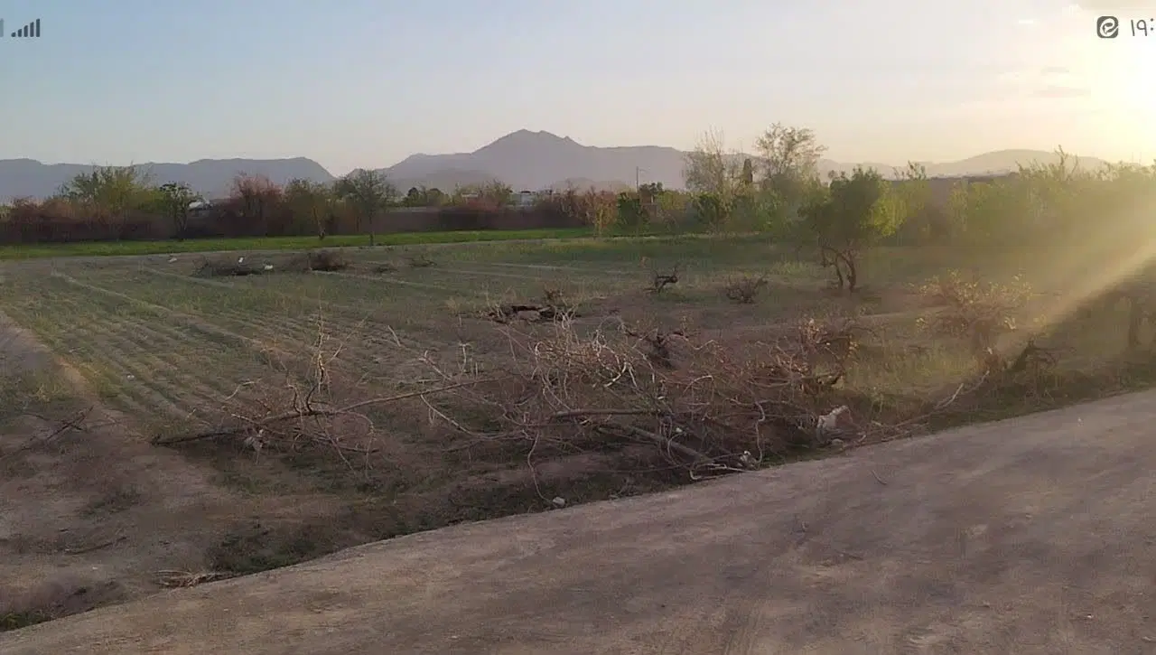 زمین باغ
