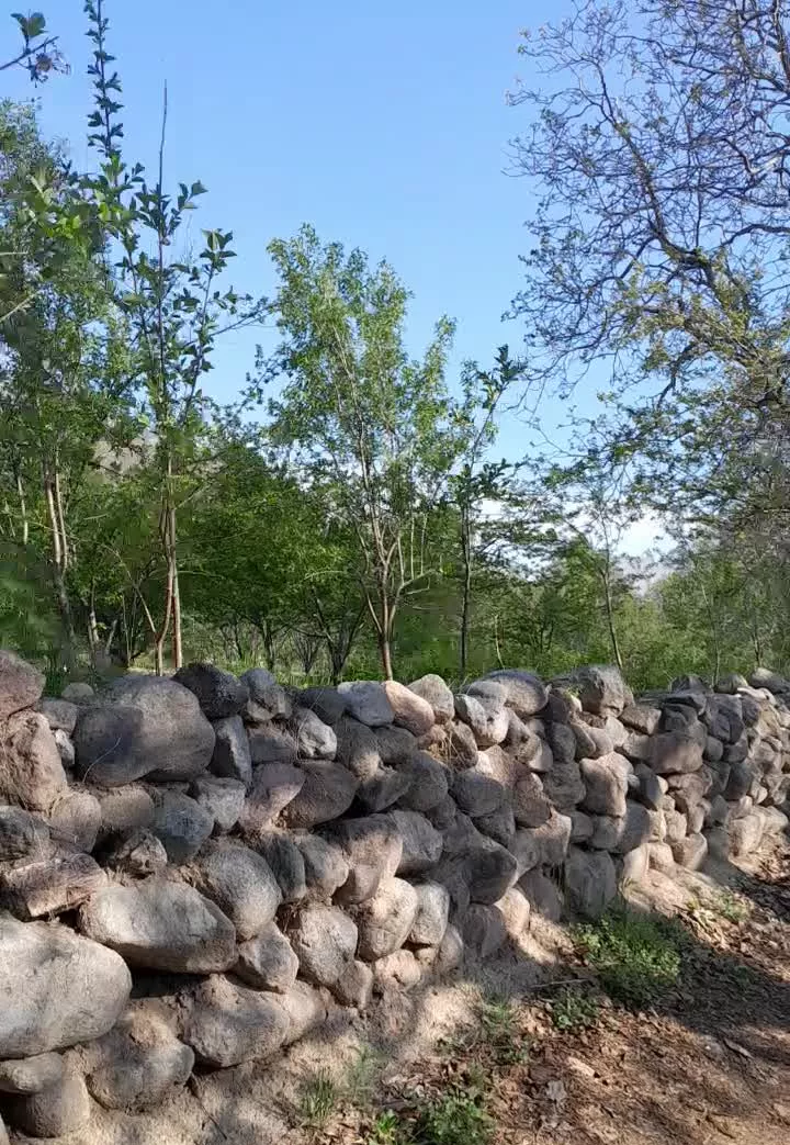 فروش باغ .وزمین واقع در شهر مرند روستای دیزج