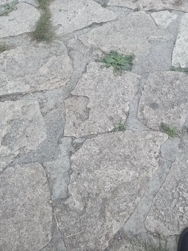 زمین خالی