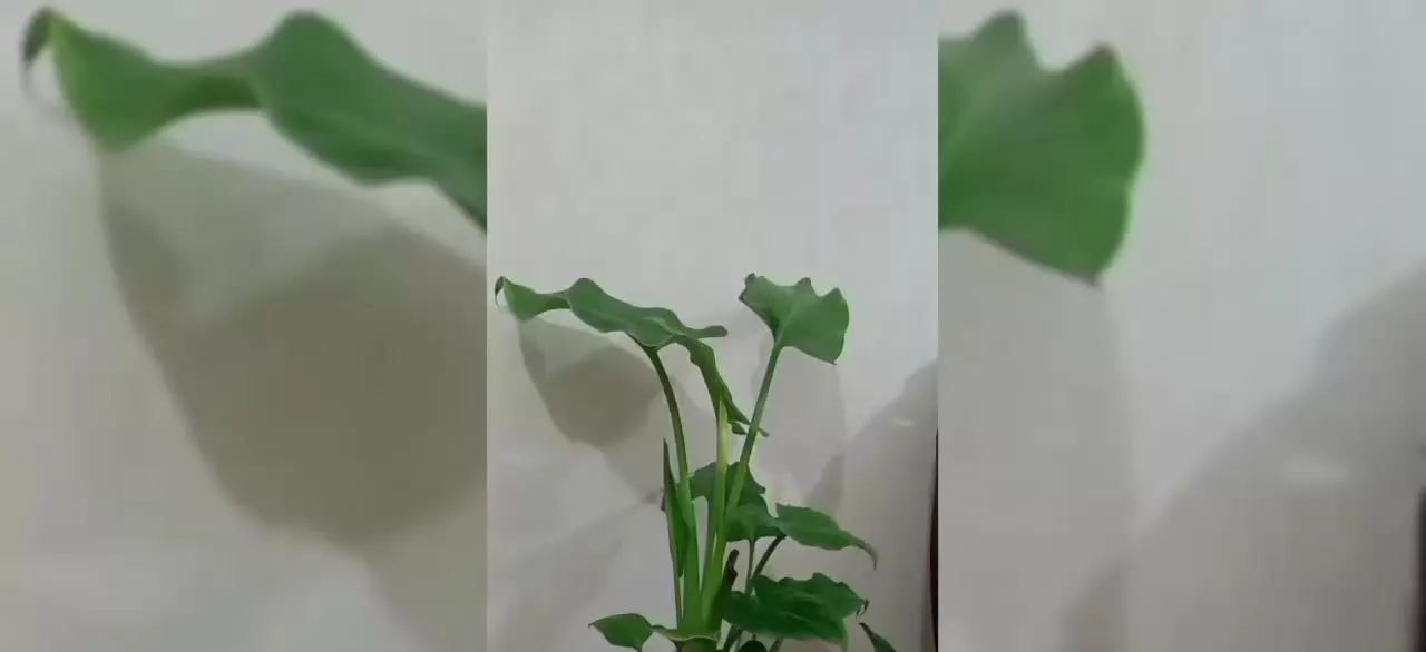 فروش آپارتمان مبله گرگان