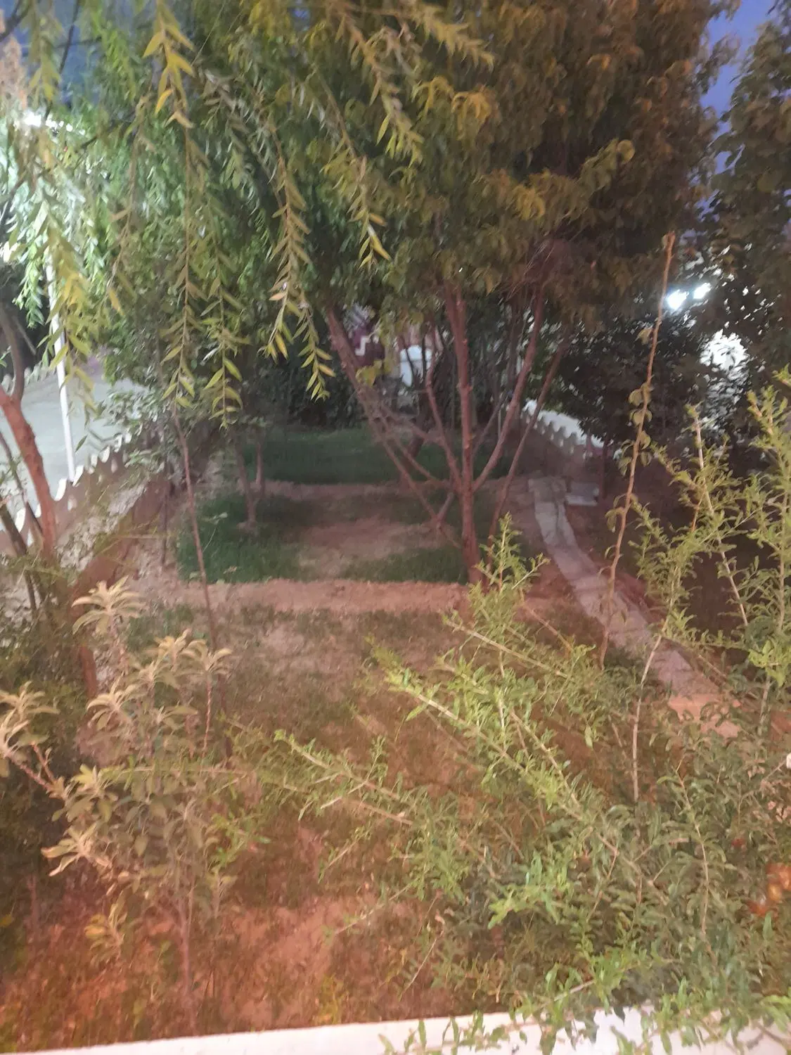 باغ رهنان