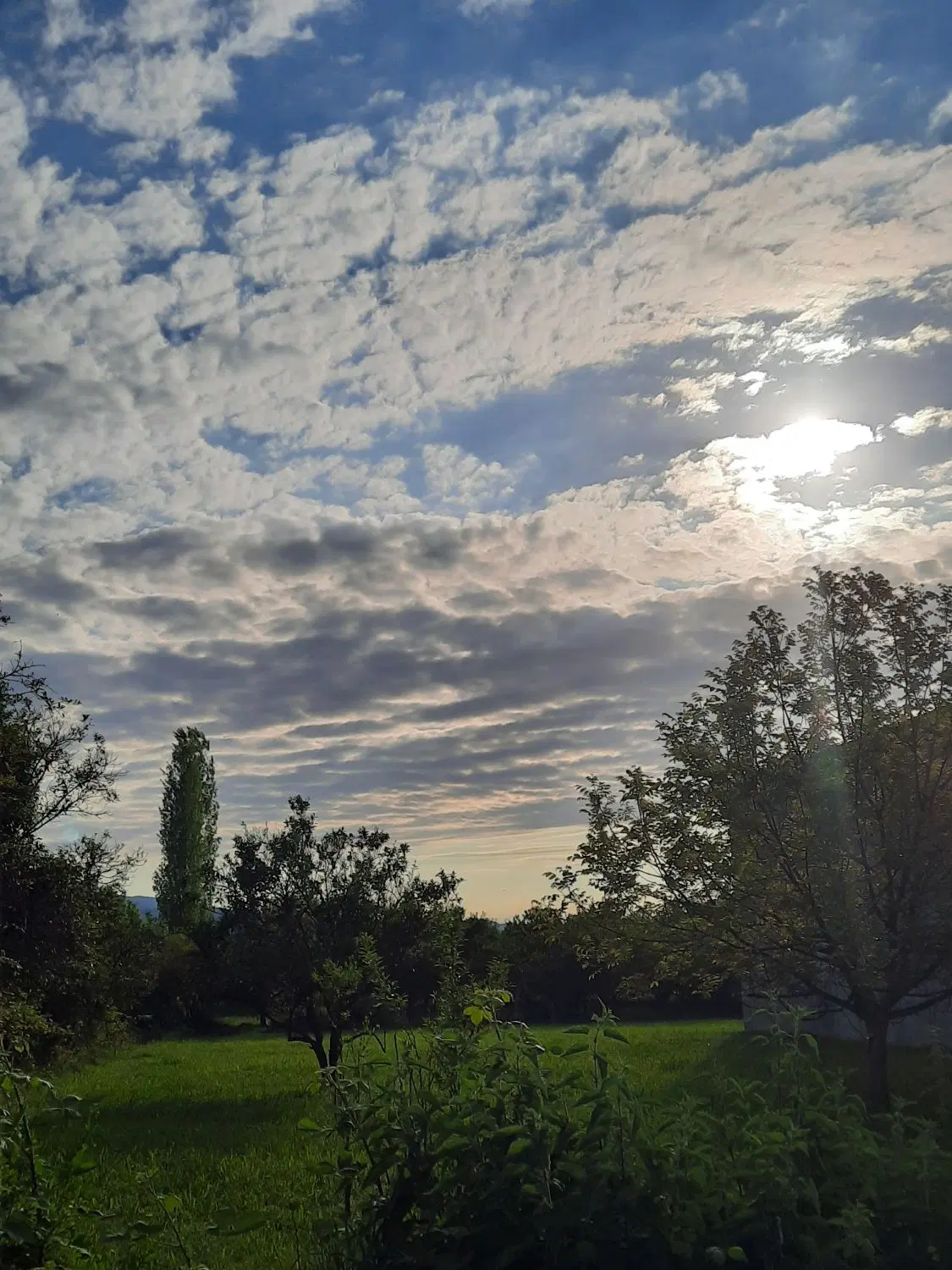سوییت ویلایی حیاط دار