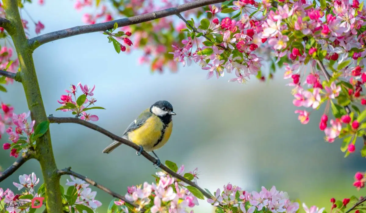 زندگی رویایی_باسرمایه گذاری وخریدویلا