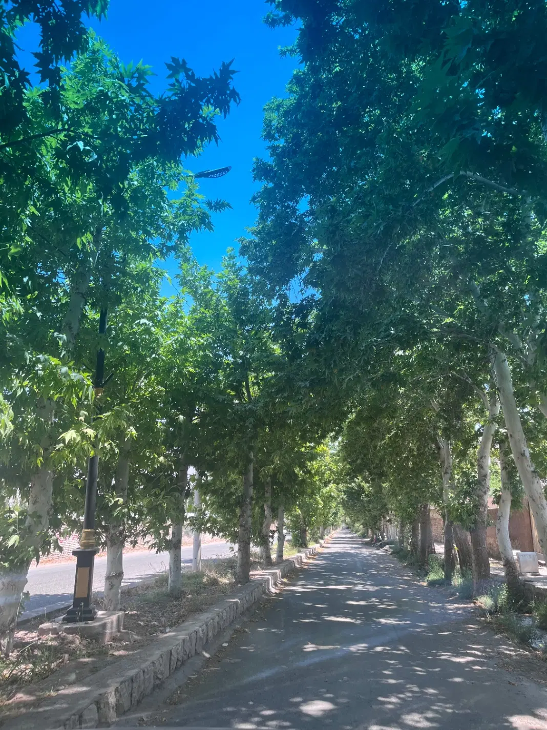 کوهپایه