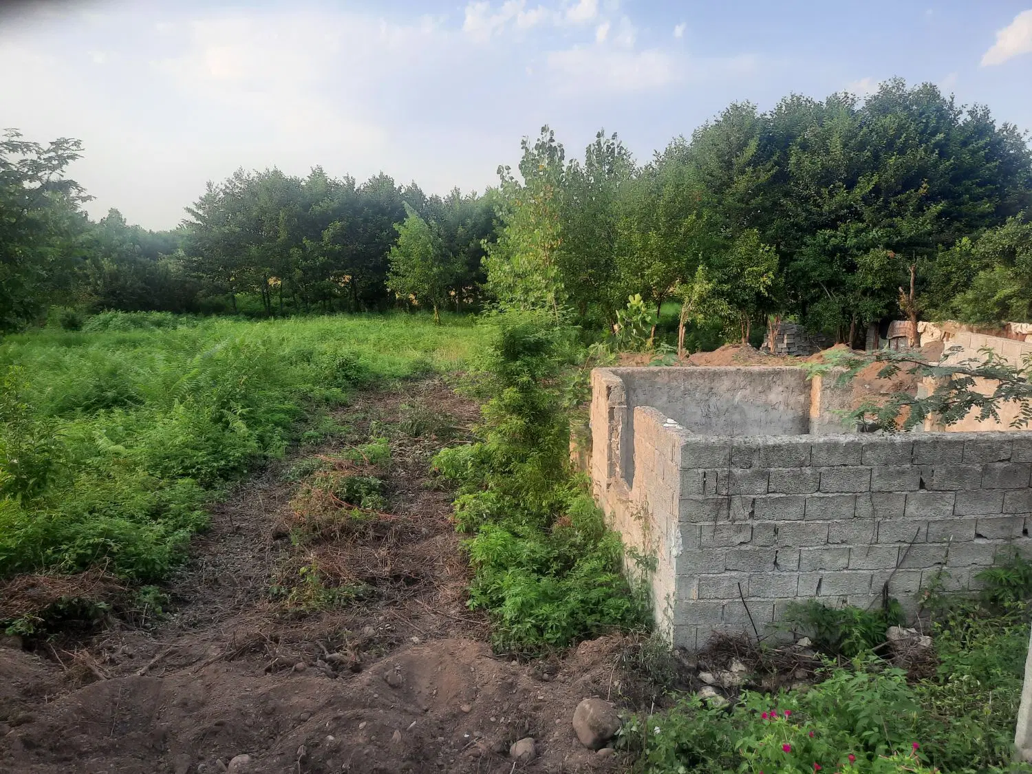 فروش زمین