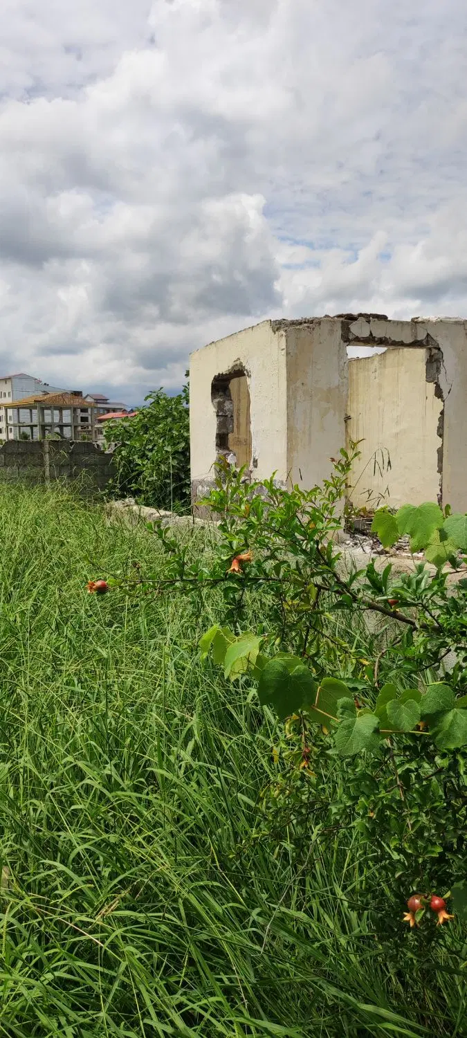 زمین مسکونی سند تک برگ